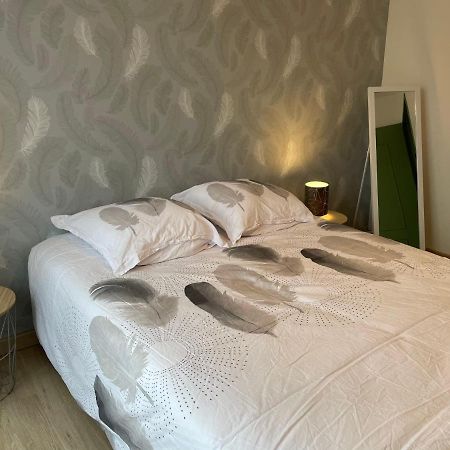 Appartement Du Grand Parc Chateauroux Luaran gambar