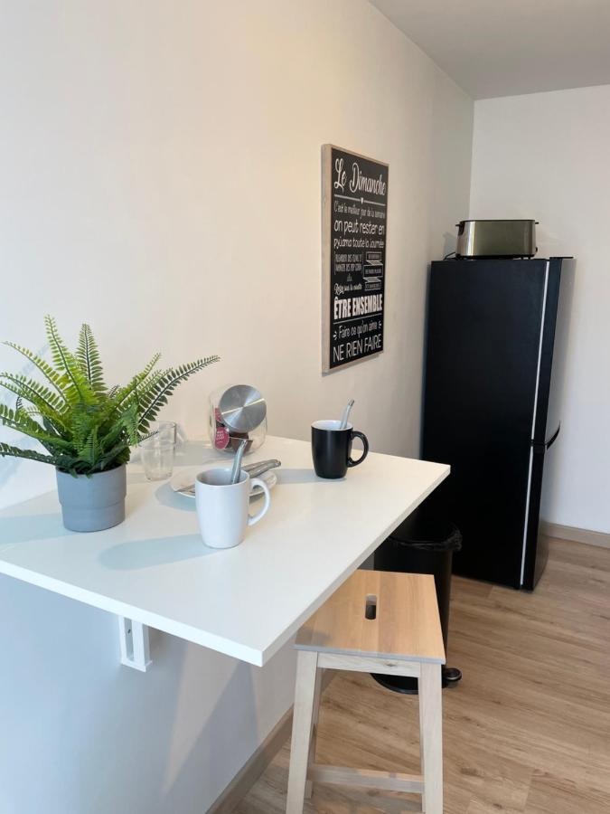 Appartement Du Grand Parc Chateauroux Luaran gambar